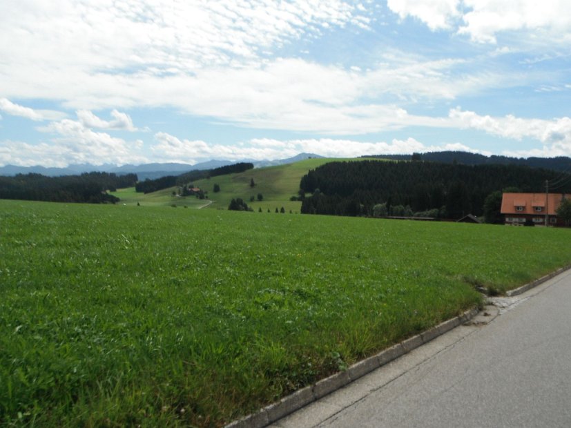 DSCF1558